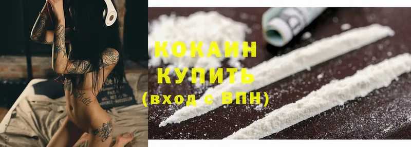 Кокаин Fish Scale  даркнет сайт  Новоузенск 